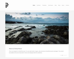 portfolio-5-organicthemes