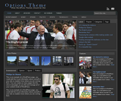 Options WordPress Theme