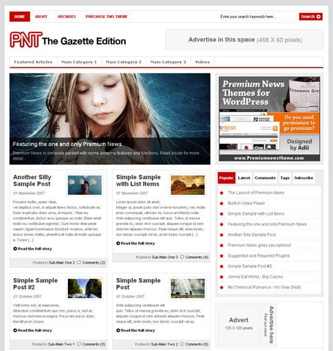 Top 10 Premium WordPress Themes February 2008