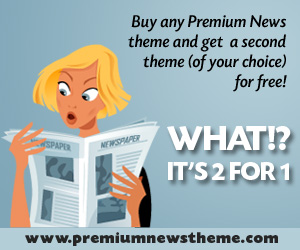 Premium News Theme Two for One