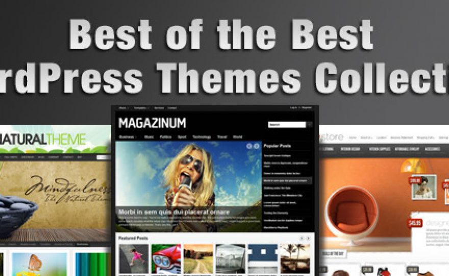 The Best Premium WordPress Themes