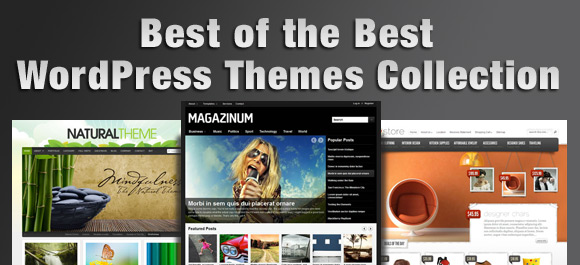 best wordpress themes