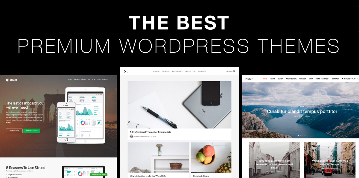 premium wordpress theme