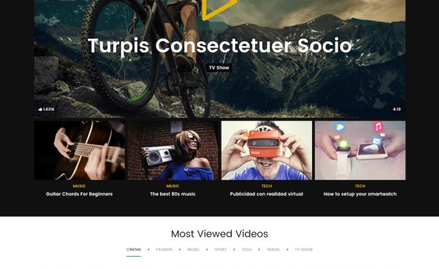 Best Video WordPress Themes