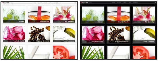 richwp photo theme