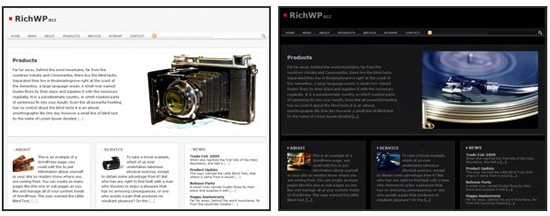 richwp richbiz theme