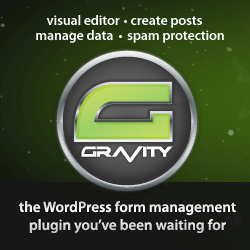 gravity forms wordpress plugin