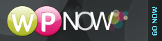 wpnow-234x60g