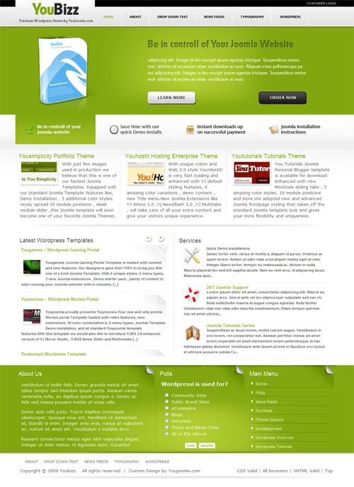 youbizz wordpress theme