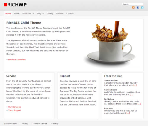 RichBIZ Premium WordPress Child Theme