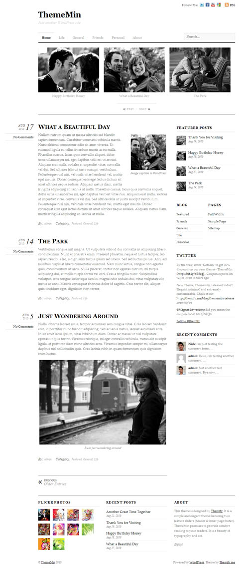 ThemeMin Premium WordPress Theme