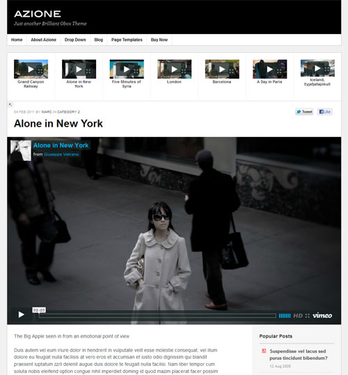 Video Blogging WordPress Theme