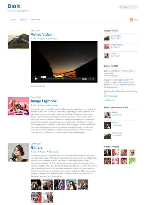 basic wordpress theme