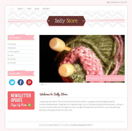 Sally Store Ecommerce WordPress Theme