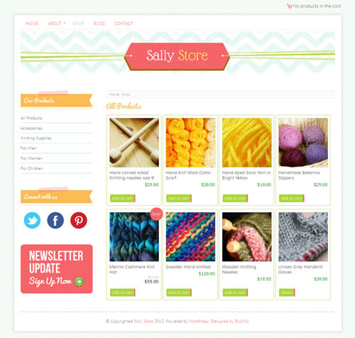 Sally Store WordPress Theme