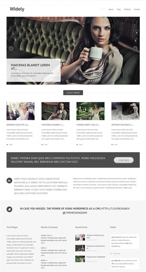 free photography wordpress theme