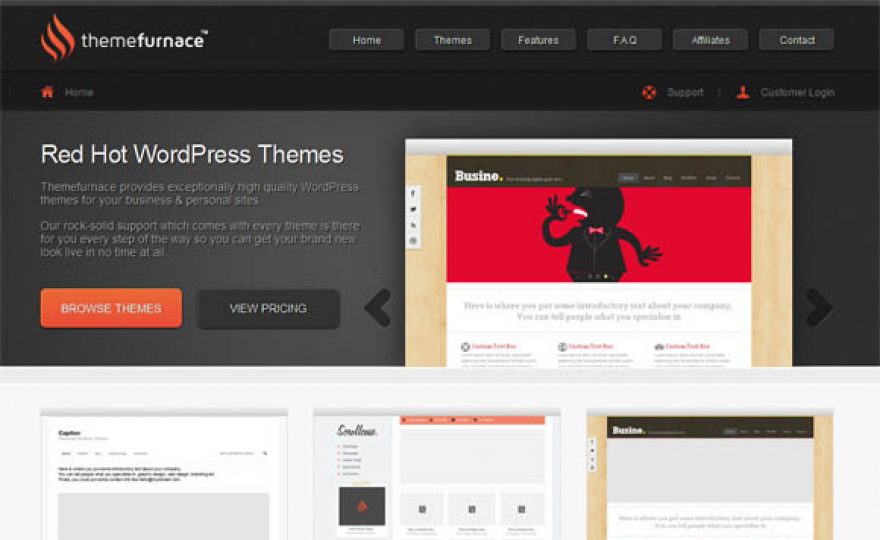 New Premium WordPress Theme Shops 2012