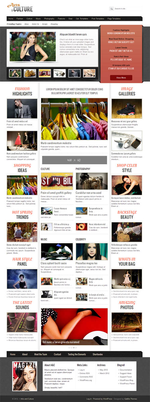 Arts & Culture Magazine WordPress Theme