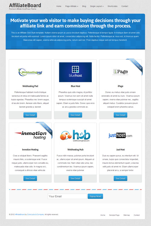 Affiliate WordPress Theme 