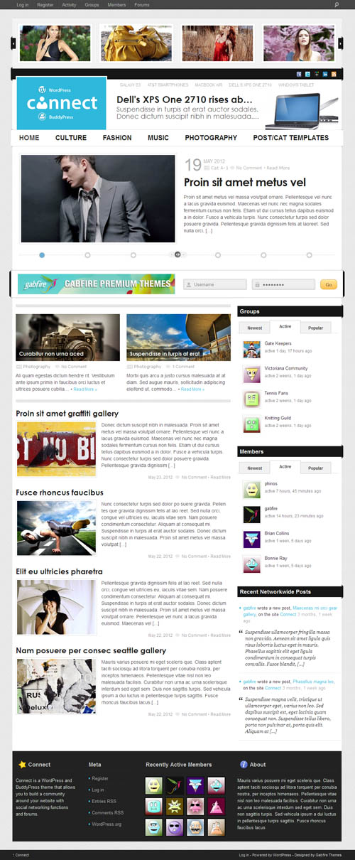 Connect WordPress and BuddyPress Theme