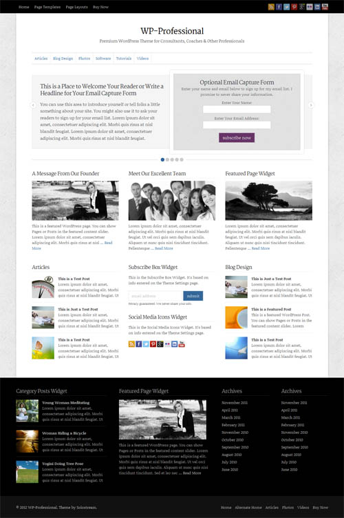 WP Professional business theme