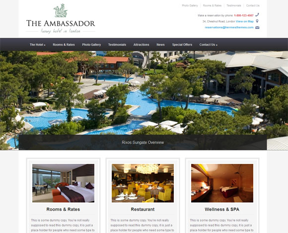 The Ambassador