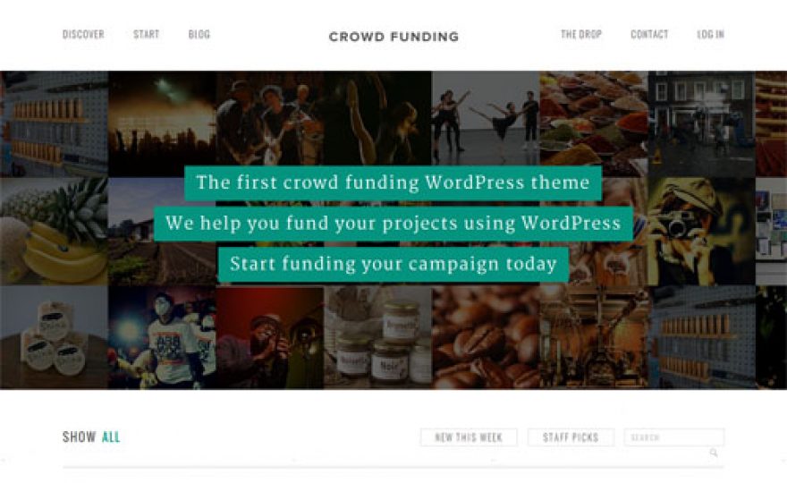 10+ Best Crowdfunding WordPress Themes