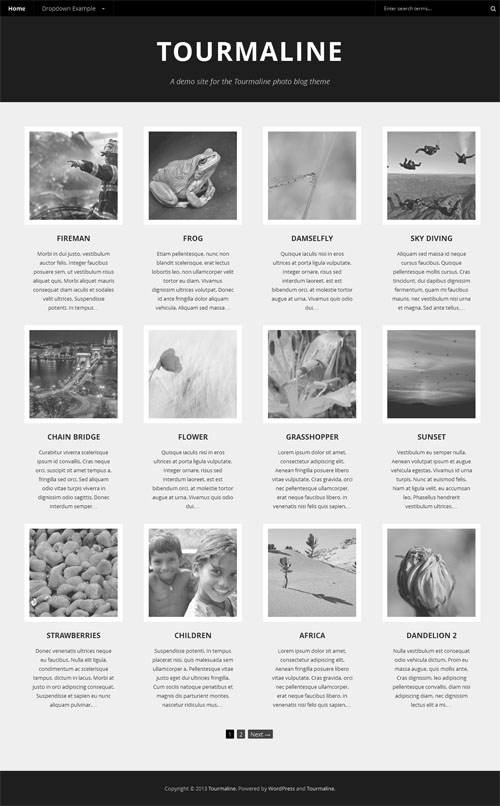 Responsive Photo Blog WordPress Theme 