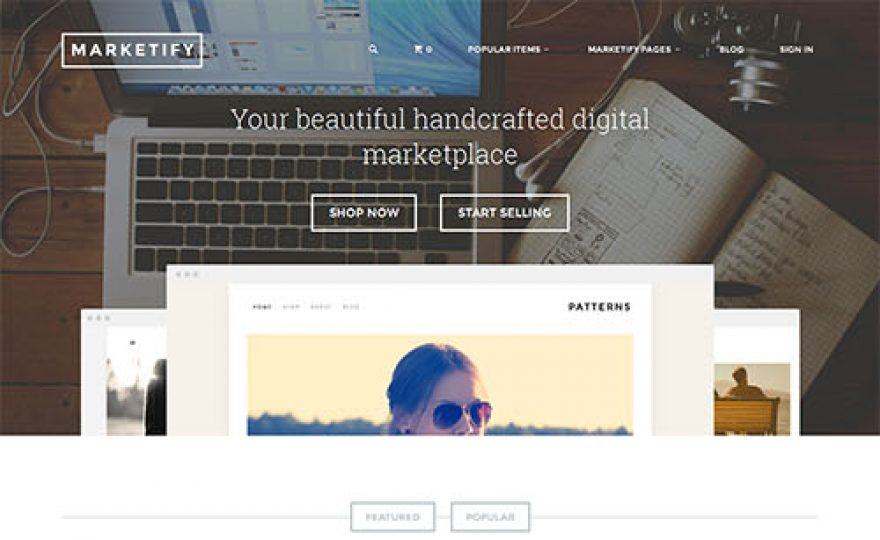 10+ Best Marketplace WordPress Themes