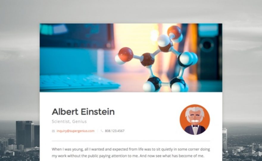 Business Card WordPress Theme Virtual Business Card WordPress Theme Connect