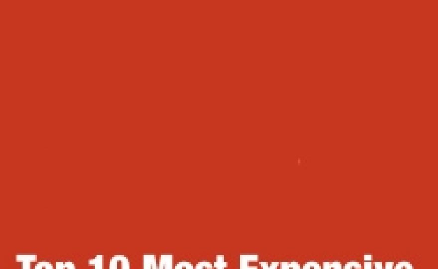 Top 10 Most Expensive Premium WordPress Themes