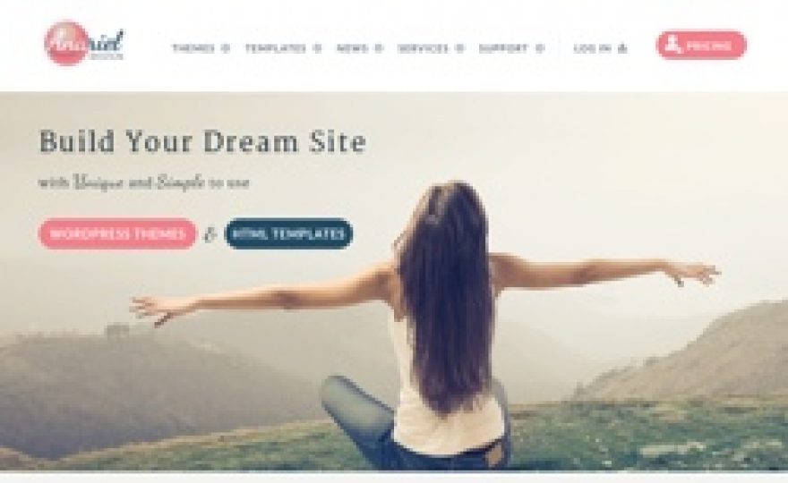 Premium WordPress Themes by Anariel Design