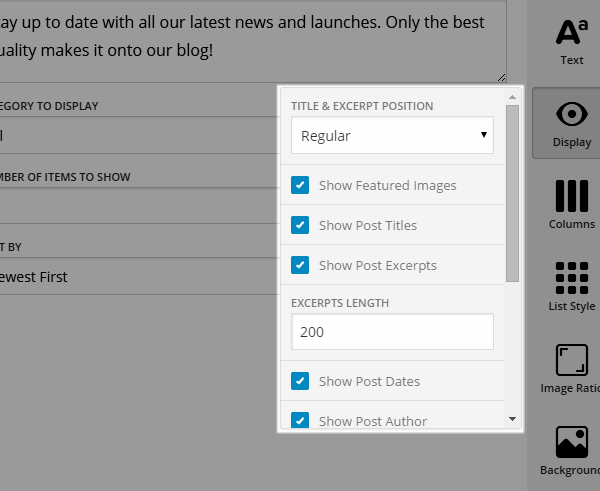 Layers Blog Post Display Settings