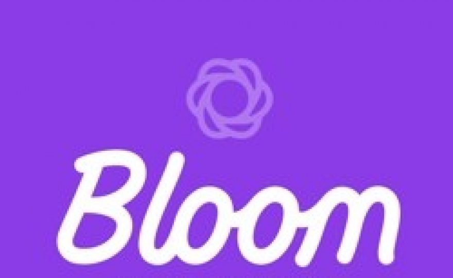 Bloom Email Opt-in Plugin for WordPress – First Impressions Review