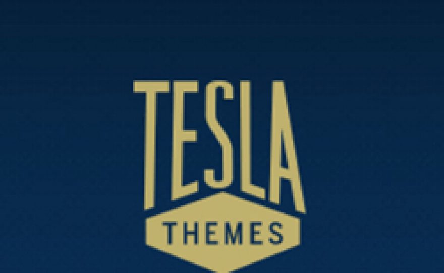 Hot Offer: 80% Discount on the Lifetime Developer Subscription at Tesla Themes