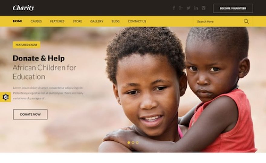 The Best Non Profit WordPress Themes