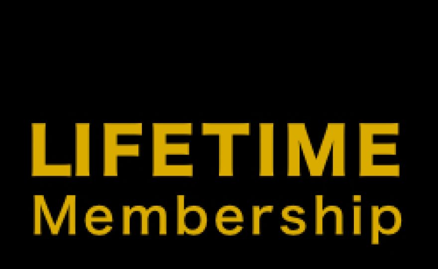 WordPress Theme Shops with Lifetime Memberships