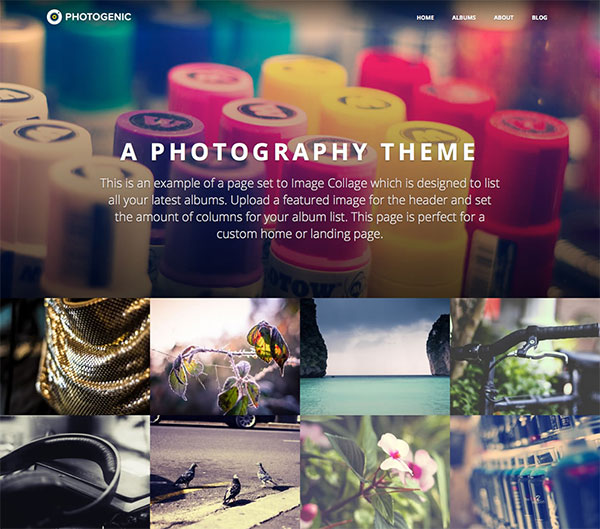 Photography Website Photogenic Obox Theme