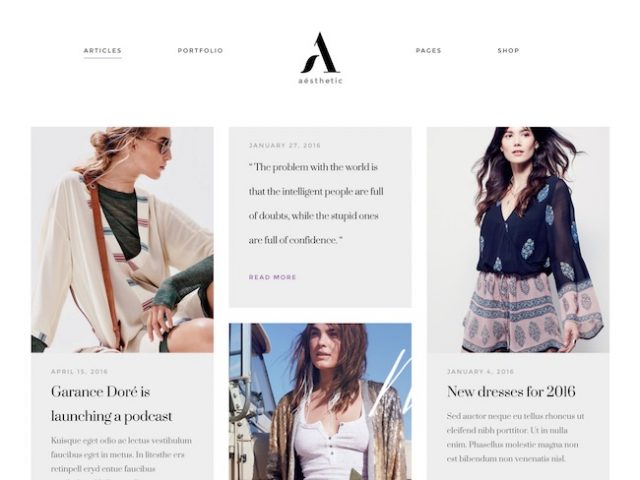 Aesthetic WordPress Theme