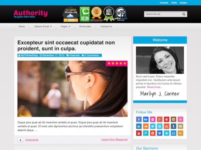 Authority Blog WordPress Theme