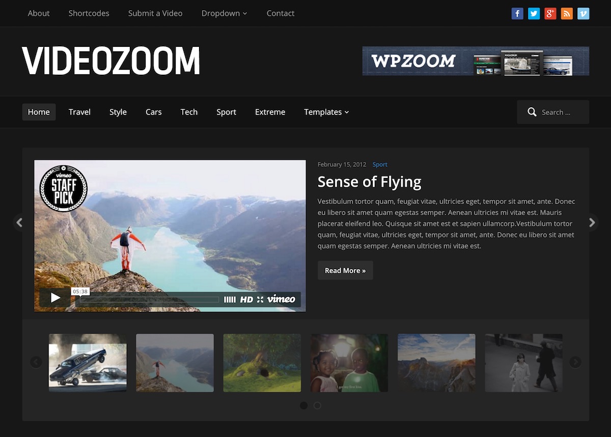 best video wordpress themes