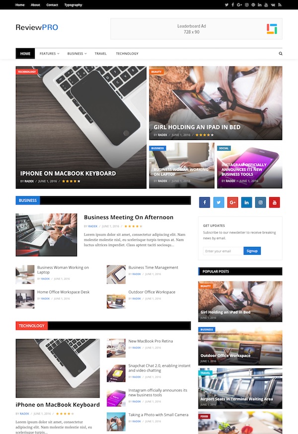 review pro wordpress theme