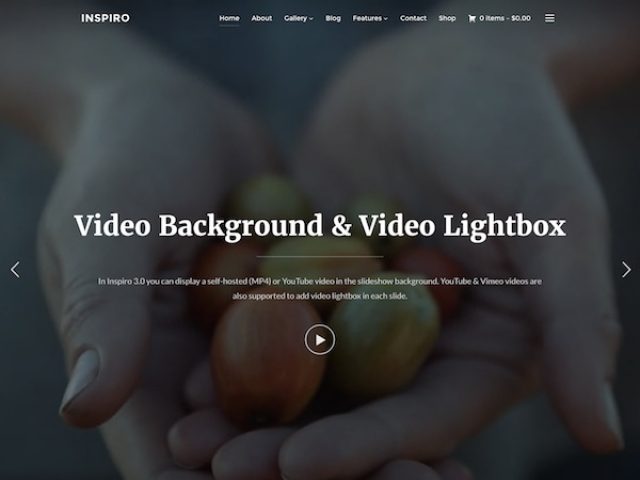 Inspiro Photo & Video WordPress Theme