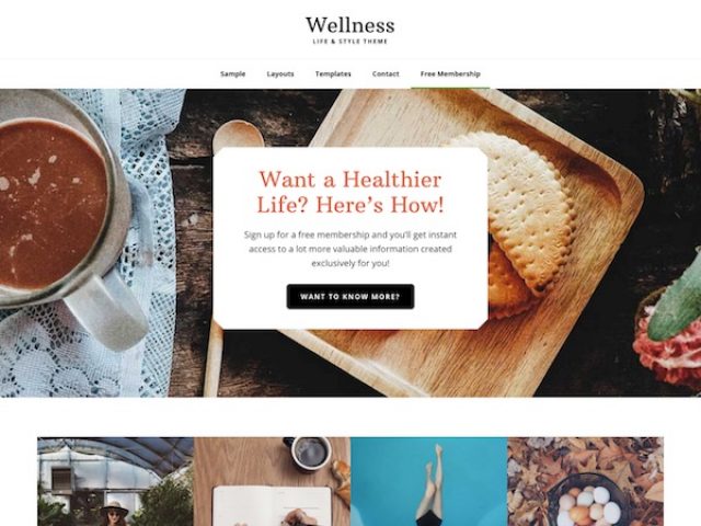 Wellness Pro WordPress Theme