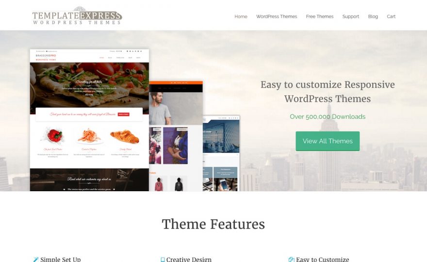 Template Express WordPress Themes Review