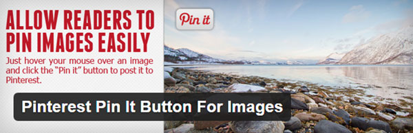 pinterest-pin-it-button