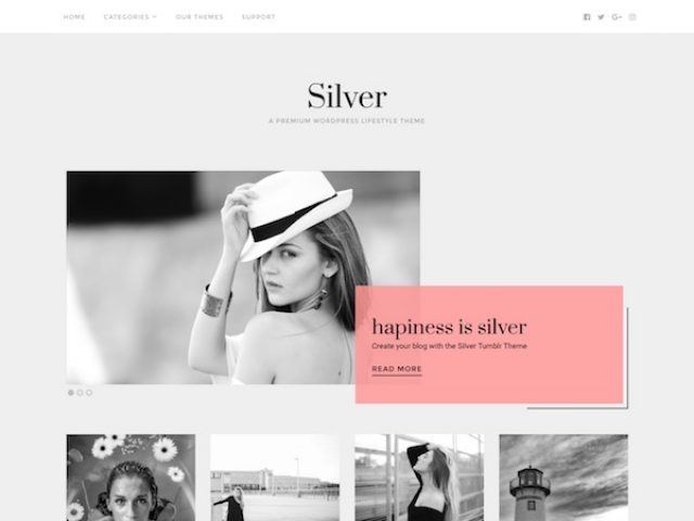 Silver WordPress Theme