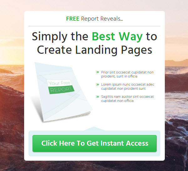 Landing Page Example