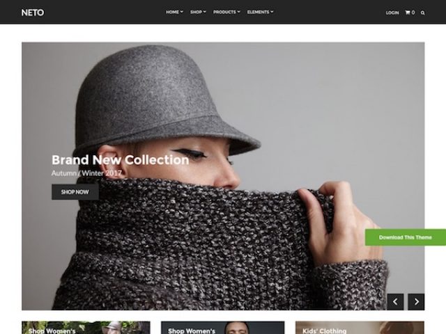 Neto WordPress WooCommerce Theme