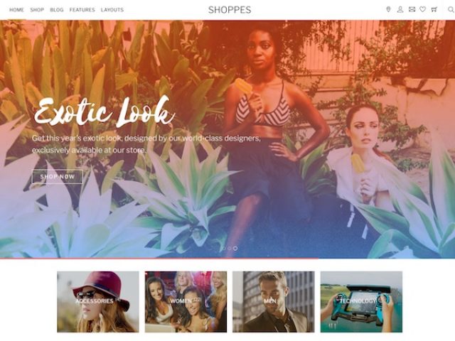 Shoppe WordPress WooCommerce Theme